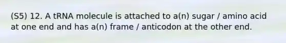 (S5) 12. A tRNA molecule is attached to a(n) sugar / amino acid at one end and has a(n) frame / anticodon at the other end.