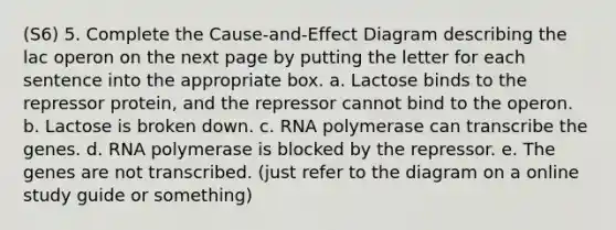 (S6) 5. Complete the Cause-and-Effect Diagram describing the lac operon on the next page by putting the letter for each sentence into the appropriate box. a. Lactose binds to the repressor protein, and the repressor cannot bind to the operon. b. Lactose is broken down. c. RNA polymerase can transcribe the genes. d. RNA polymerase is blocked by the repressor. e. The genes are not transcribed. (just refer to the diagram on a online study guide or something)