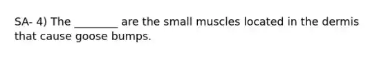 SA- 4) The ________ are the small muscles located in <a href='https://www.questionai.com/knowledge/kEsXbG6AwS-the-dermis' class='anchor-knowledge'>the dermis</a> that cause goose bumps.