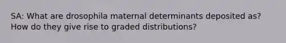 SA: What are drosophila maternal determinants deposited as? How do they give rise to graded distributions?