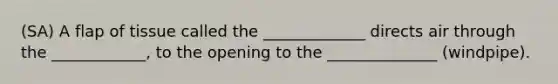 (SA) A flap of tissue called the _____________ directs air through the ____________, to the opening to the ______________ (windpipe).