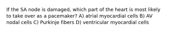 If the SA node is damaged, which part of the heart is most likely to take over as a pacemaker? A) atrial myocardial cells B) AV nodal cells C) Purkinje fibers D) ventricular myocardial cells