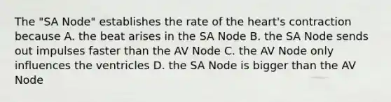 The "SA Node" establishes the rate of the heart's contraction because A. the beat arises in the SA Node B. the SA Node sends out impulses faster than the AV Node C. the AV Node only influences the ventricles D. the SA Node is bigger than the AV Node