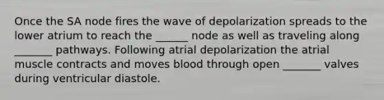 Once the SA node fires the wave of depolarization spreads to the lower atrium to reach the ______ node as well as traveling along _______ pathways. Following atrial depolarization the atrial muscle contracts and moves blood through open _______ valves during ventricular diastole.