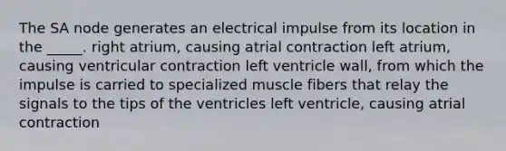 The SA node generates an electrical impulse from its location in the _____. right atrium, causing atrial contraction left atrium, causing ventricular contraction left ventricle wall, from which the impulse is carried to specialized muscle fibers that relay the signals to the tips of the ventricles left ventricle, causing atrial contraction