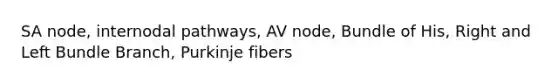 SA node, internodal pathways, AV node, Bundle of His, Right and Left Bundle Branch, Purkinje fibers