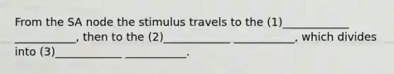 From the SA node the stimulus travels to the (1)____________ ___________, then to the (2)____________ ___________, which divides into (3)____________ ___________.