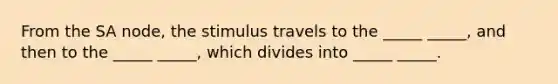 From the SA node, the stimulus travels to the _____ _____, and then to the _____ _____, which divides into _____ _____.