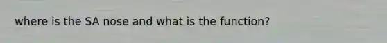 where is the SA nose and what is the function?