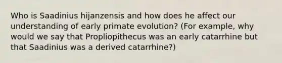 Who is Saadinius hijanzensis and how does he affect our understanding of early primate evolution? (For example, why would we say that Propliopithecus was an early catarrhine but that Saadinius was a derived catarrhine?)