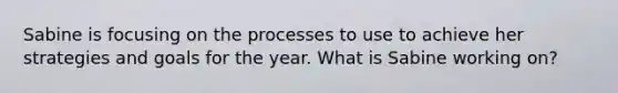 Sabine is focusing on the processes to use to achieve her strategies and goals for the year. What is Sabine working on?