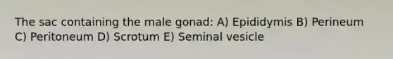 The sac containing the male gonad: A) Epididymis B) Perineum C) Peritoneum D) Scrotum E) Seminal vesicle