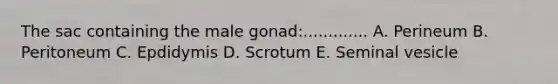 The sac containing the male gonad:............. A. Perineum B. Peritoneum C. Epdidymis D. Scrotum E. Seminal vesicle