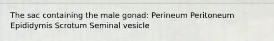 The sac containing the male gonad: Perineum Peritoneum Epididymis Scrotum Seminal vesicle