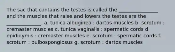 The sac that contains the testes is called the ________________ and the muscles that raise and lowers the testes are the ______________. a. tunica albuginea : dartos muscles b. scrotum : cremaster muscles c. tunica vaginalis : spermatic cords d. epididymis : cremaster muscles e. scrotum : spermatic cords f. scrotum : bulbospongiosus g. scrotum : dartos muscles