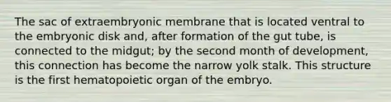 The sac of extraembryonic membrane that is located ventral to the embryonic disk and, after formation of the gut tube, is connected to the midgut; by the second month of development, this connection has become the narrow yolk stalk. This structure is the first hematopoietic organ of the embryo.