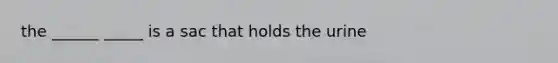 the ______ _____ is a sac that holds the urine