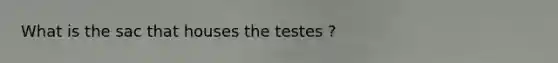 What is the sac that houses the testes ?