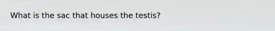 What is the sac that houses the testis?