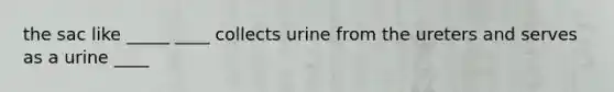 the sac like _____ ____ collects urine from the ureters and serves as a urine ____