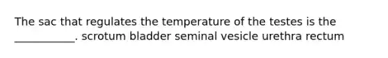 The sac that regulates the temperature of the testes is the ___________. scrotum bladder seminal vesicle urethra rectum