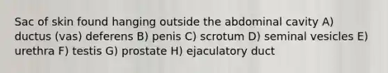 Sac of skin found hanging outside the abdominal cavity A) ductus (vas) deferens B) penis C) scrotum D) seminal vesicles E) urethra F) testis G) prostate H) ejaculatory duct