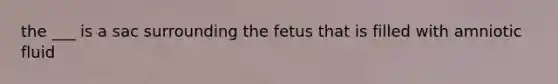 the ___ is a sac surrounding the fetus that is filled with amniotic fluid