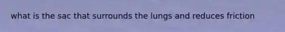 what is the sac that surrounds the lungs and reduces friction