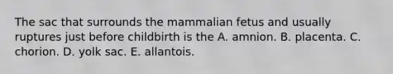 The sac that surrounds the mammalian fetus and usually ruptures just before childbirth is the A. amnion. B. placenta. C. chorion. D. yolk sac. E. allantois.