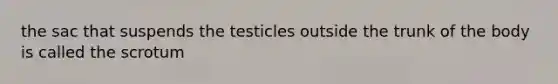 the sac that suspends the testicles outside the trunk of the body is called the scrotum