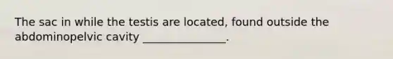 The sac in while the testis are located, found outside the abdominopelvic cavity _______________.