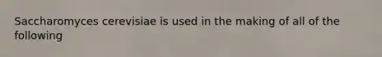 Saccharomyces cerevisiae is used in the making of all of the following