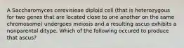 A Saccharomyces cerevisieae diploid cell (that is heterozygous for two genes that are located close to one another on the same chromosome) undergoes meiosis and a resulting ascus exhibits a nonparental ditype. Which of the following occured to produce that ascus?