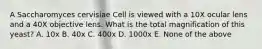 A Saccharomyces cervisiae Cell is viewed with a 10X ocular lens and a 40X objective lens. What is the total magnification of this yeast? A. 10x B. 40x C. 400x D. 1000x E. None of the above