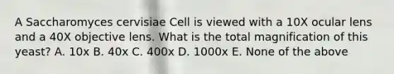 A Saccharomyces cervisiae Cell is viewed with a 10X ocular lens and a 40X objective lens. What is the total magnification of this yeast? A. 10x B. 40x C. 400x D. 1000x E. None of the above