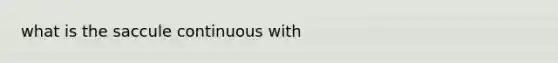 what is the saccule continuous with