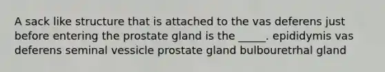 A sack like structure that is attached to the vas deferens just before entering the prostate gland is the _____. epididymis vas deferens seminal vessicle prostate gland bulbouretrhal gland