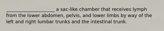 _____________________ a sac-like chamber that receives lymph from the lower abdomen, pelvis, and <a href='https://www.questionai.com/knowledge/kF4ILRdZqC-lower-limb' class='anchor-knowledge'>lower limb</a>s by way of the left and right lumbar trunks and the intestinal trunk.