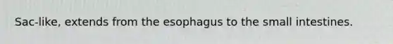 Sac-like, extends from the esophagus to the small intestines.