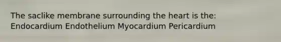 The saclike membrane surrounding the heart is the: Endocardium Endothelium Myocardium Pericardium