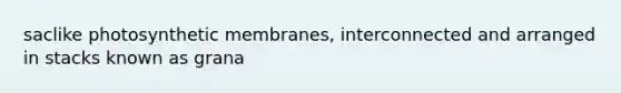 saclike photosynthetic membranes, interconnected and arranged in stacks known as grana