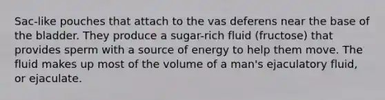 Sac-like pouches that attach to the vas deferens near the base of the bladder. They produce a sugar-rich fluid (fructose) that provides sperm with a source of energy to help them move. The fluid makes up most of the volume of a man's ejaculatory fluid, or ejaculate.