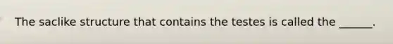 The saclike structure that contains the testes is called the ______.