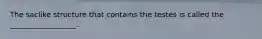 The saclike structure that contains the testes is called the __________________.