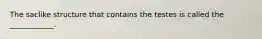 The saclike structure that contains the testes is called the ____________.