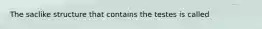 The saclike structure that contains the testes is called
