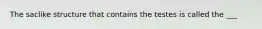 The saclike structure that contains the testes is called the ___