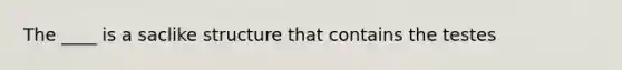 The ____ is a saclike structure that contains the testes