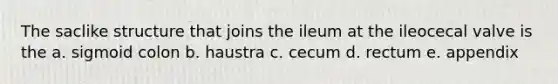 The saclike structure that joins the ileum at the ileocecal valve is the a. sigmoid colon b. haustra c. cecum d. rectum e. appendix