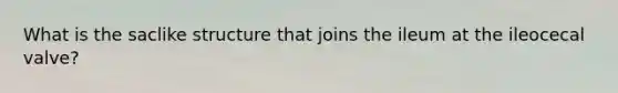 What is the saclike structure that joins the ileum at the ileocecal valve?